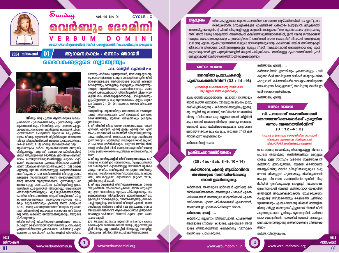 Newsletter 01 Dec 2024