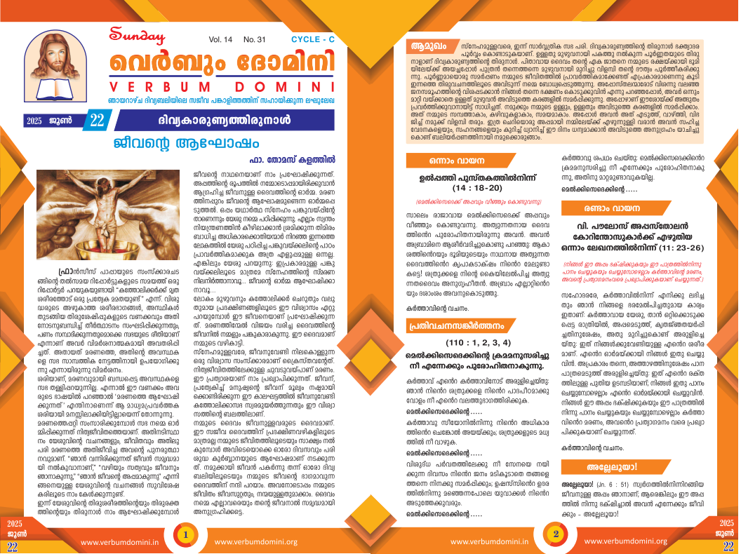 Newsletter 22 Jun 2025